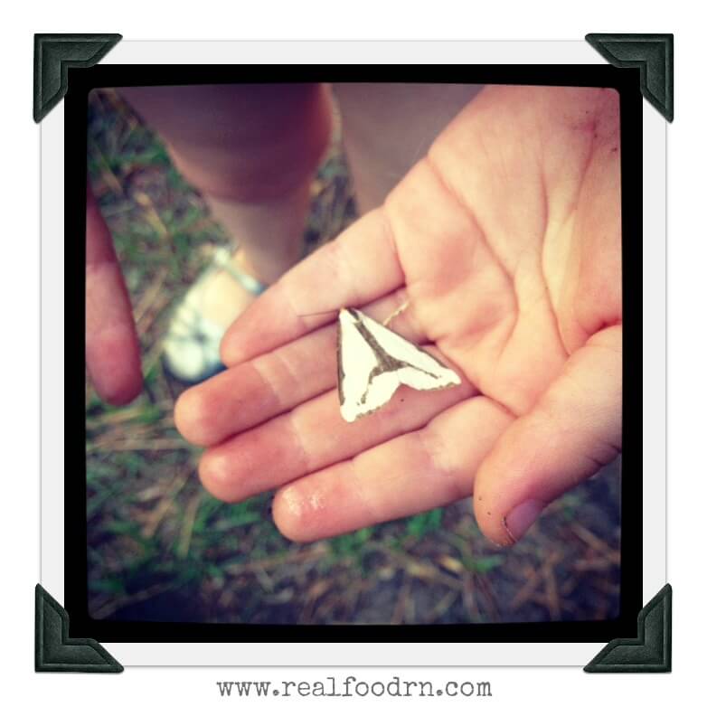 Sunday Snapshot: Through a Child’s Eyes