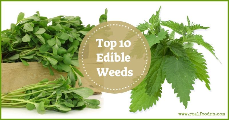 Top 10 Edible Weeds | Real Food RN