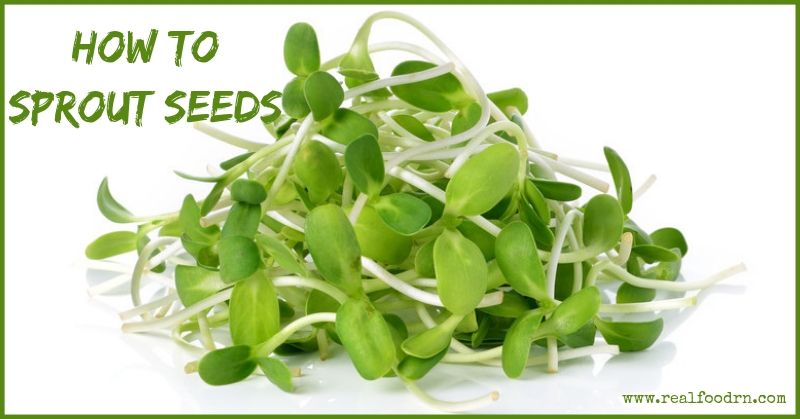 How to Sprout Seeds | Real Food RN